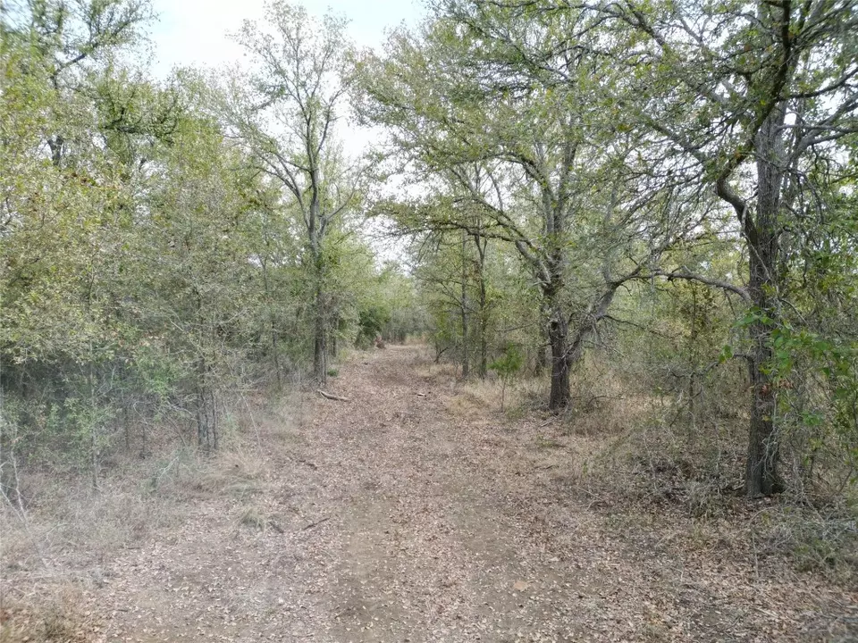 3935 County Road 464, Elgin, TX 78621 photo 19