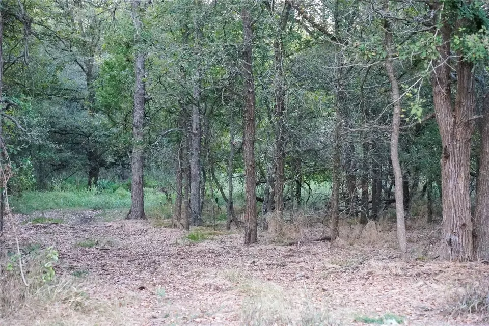  3935 County Road 464, Elgin, TX 78621 photo 36