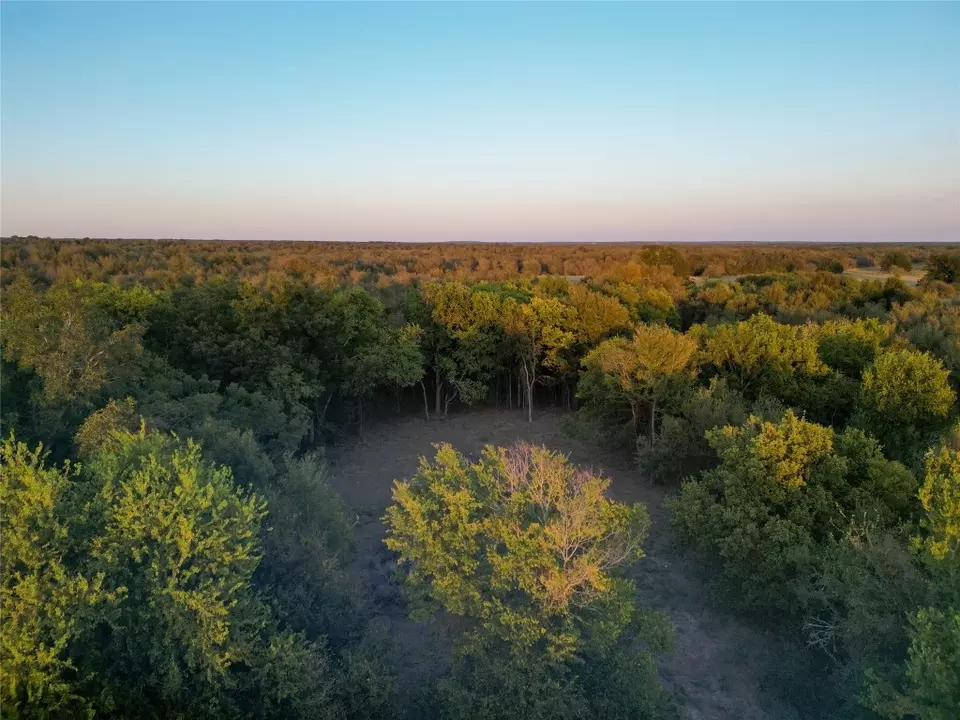  3935 County Road 464, Elgin, TX 78621 photo 14