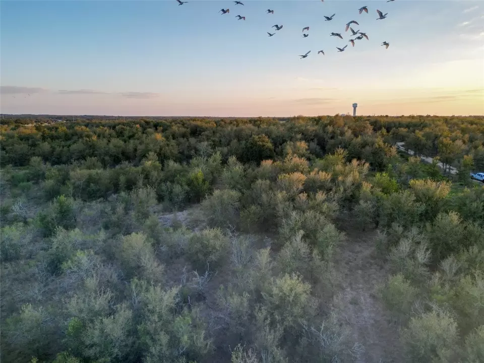  3935 County Road 464, Elgin, TX 78621 photo 13