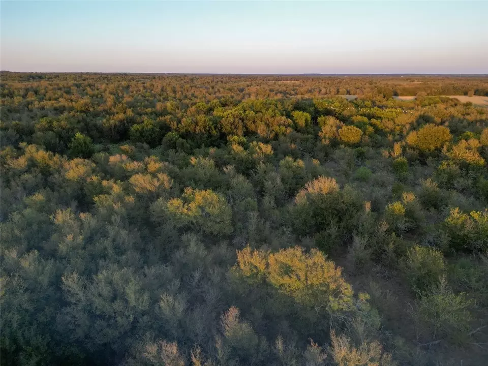  3935 County Road 464, Elgin, TX 78621 photo 9