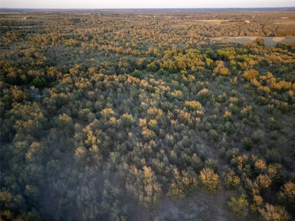  3935 County Road 464, Elgin, TX 78621 photo 2