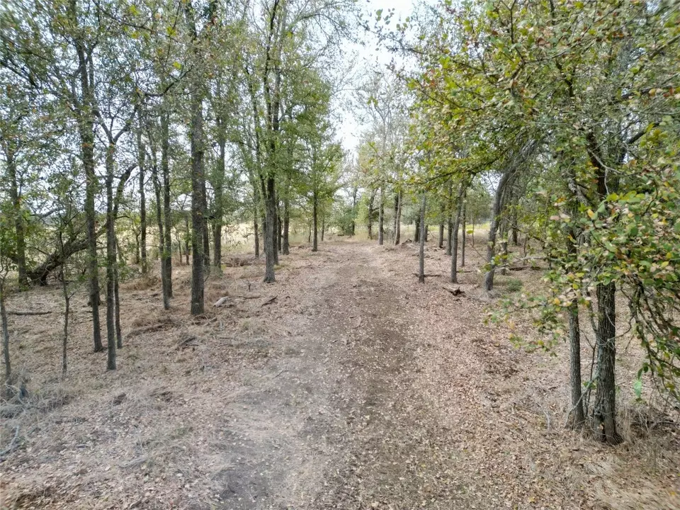  3935 County Road 464, Elgin, TX 78621 photo 20