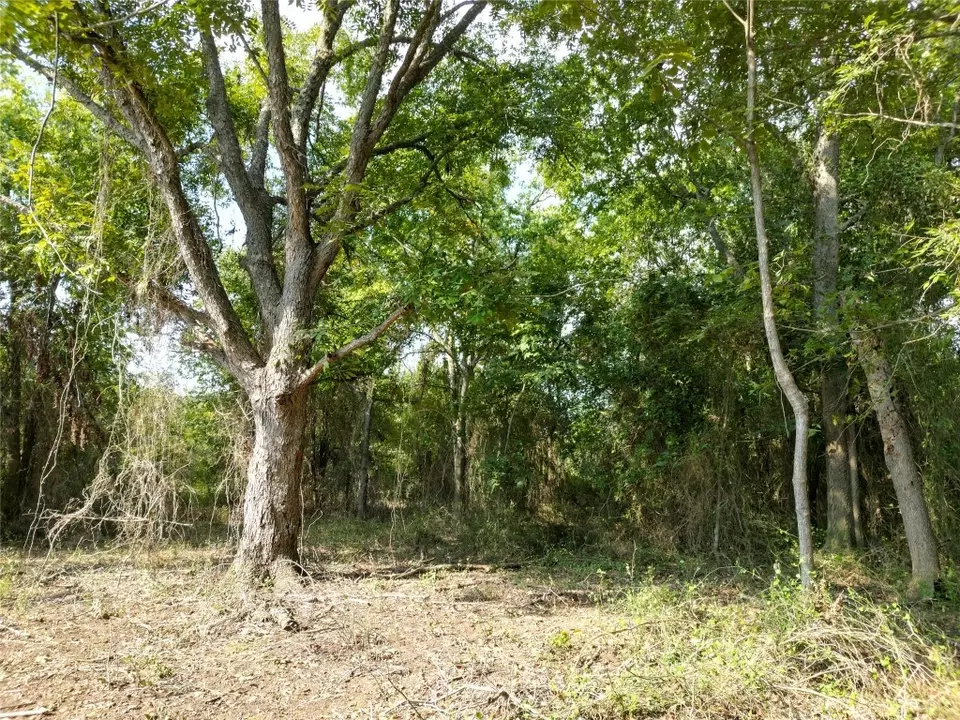  3935 County Road 464, Elgin, TX 78621 photo 10
