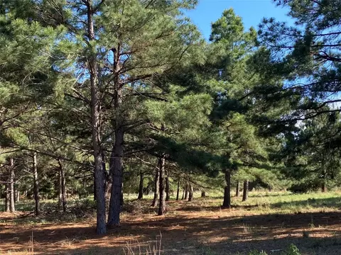 147 Oak Leaf Dr, Bastrop, TX 78602
