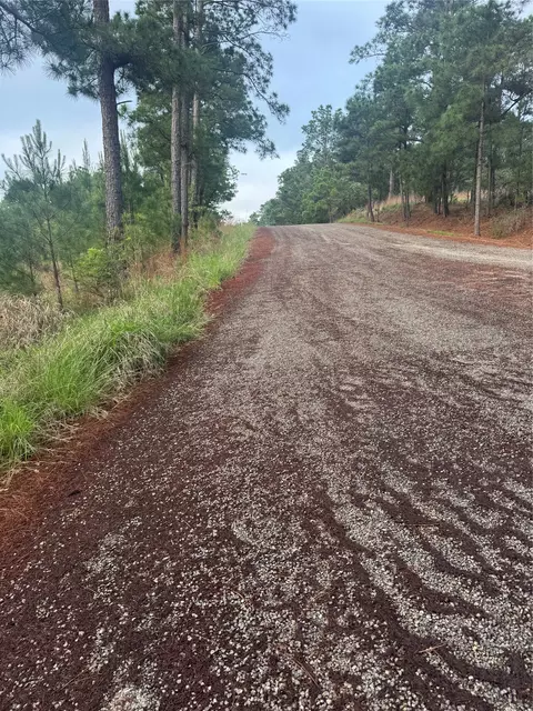 lot1491 Haleakala, Bastrop, TX 78602