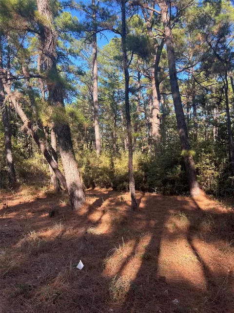tbd Pine Lodge Dr, Bastrop, TX 78602 photo 2