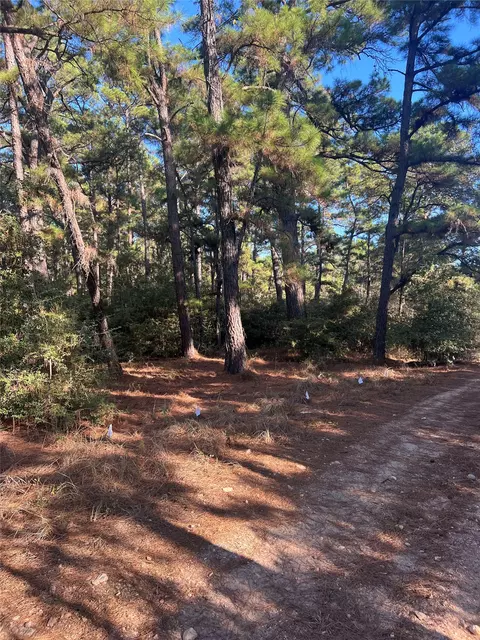 tbd Pine Lodge Dr, Bastrop, TX 78602