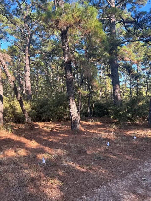 tbd Pine Lodge Dr, Bastrop, TX 78602 photo 4