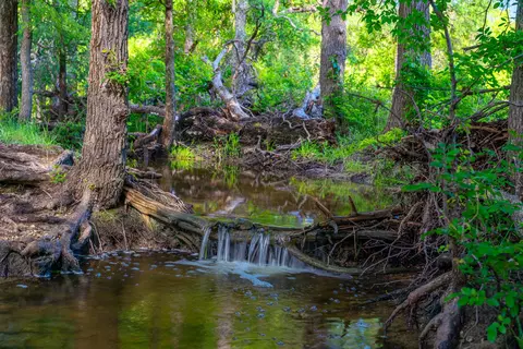 5950 Moccasin Bend Rd, Gatesville, TX 76528