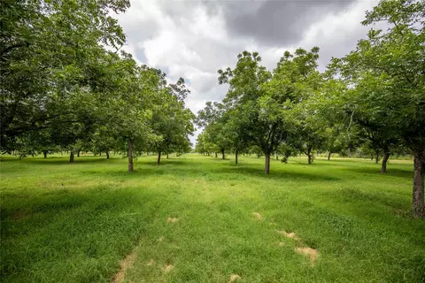 2432 County Road 402 B, Falfurrias, TX 78355