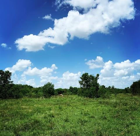 00000 Fm 1462 Rd, West Columbia, TX 77430
