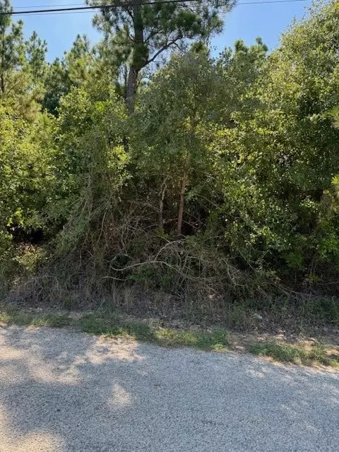 lot1355 N Kaupo Dr, Bastrop, TX 78602