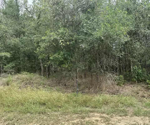 107 Halawa Ct, Bastrop, TX 78602