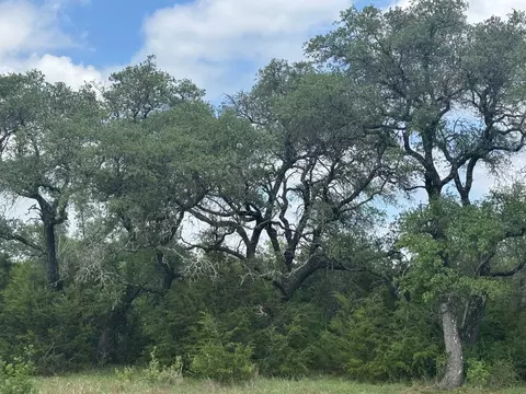 lot40 Maverick Way, Briggs, TX 78608