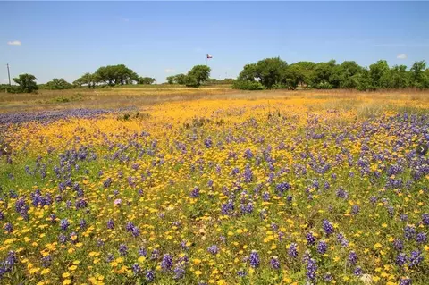 920 Crosswind Dr, Blanco, TX 78606 photo 16