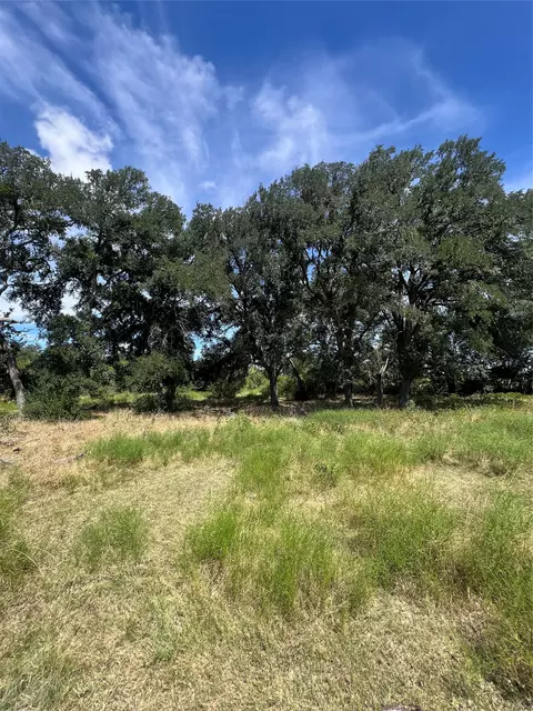 tbd Cr 200 Shady Grove Rd, Bertram, TX 78605 photo 7