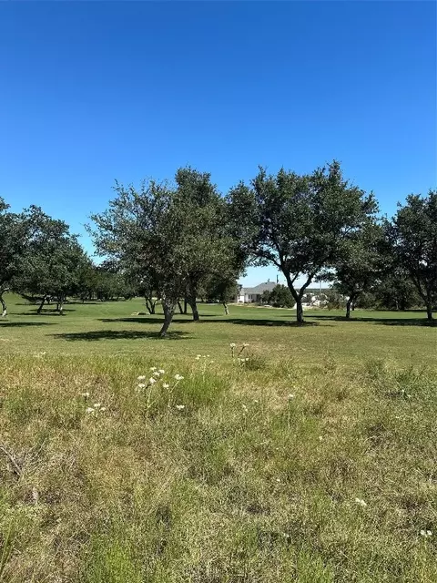 107 Bryan Marsh, Blanco, TX 78606 photo 9