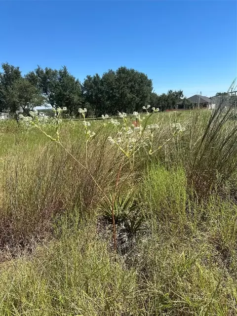 107 Bryan Marsh, Blanco, TX 78606 photo 8