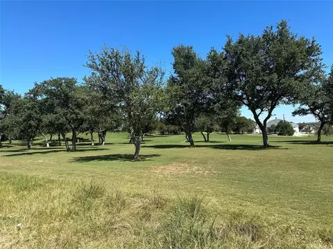 107 Bryan Marsh, Blanco, TX 78606 photo 10