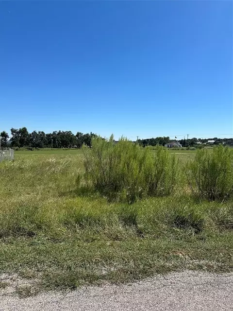 107 Bryan Marsh, Blanco, TX 78606 photo 6