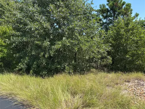 464 Ori Ct, Bastrop, TX 78602