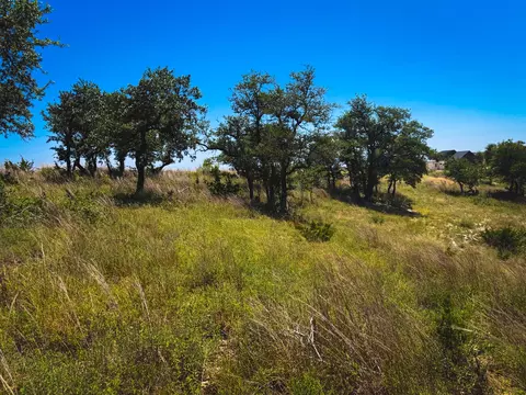 151 Falling Oak Dr, Blanco, TX 78606 photo 23