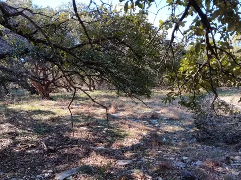 101 Timber Line Rd, Georgetown, TX 78633 photo 9