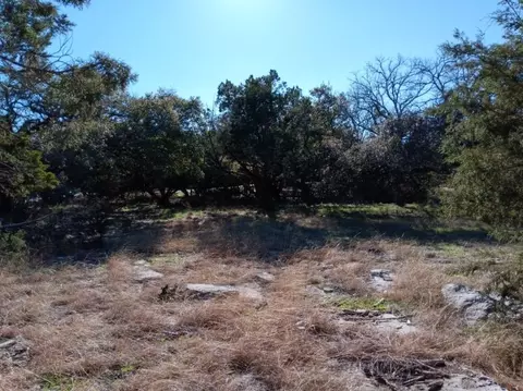 101 Timber Line Rd, Georgetown, TX 78633 photo 8