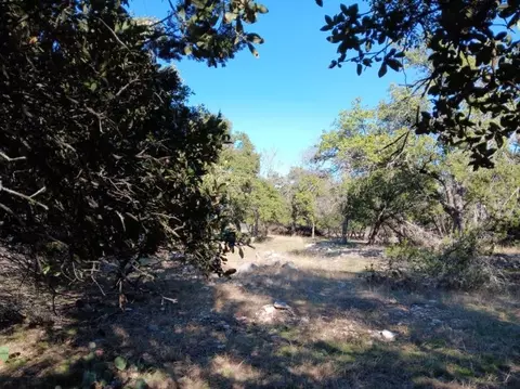 101 Timber Line Rd, Georgetown, TX 78633 photo 3