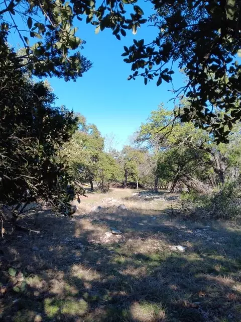 101 Timber Line Rd, Georgetown, TX 78633 photo 4