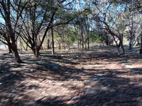 101 Timber Line Rd, Georgetown, TX 78633 photo 11