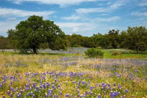 lot11 Maddalena Ln, Dripping Springs, TX 78620