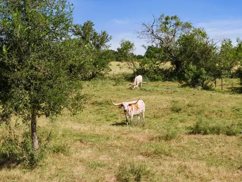 625 Callihan Rd, Luling, TX 78648 photo 26