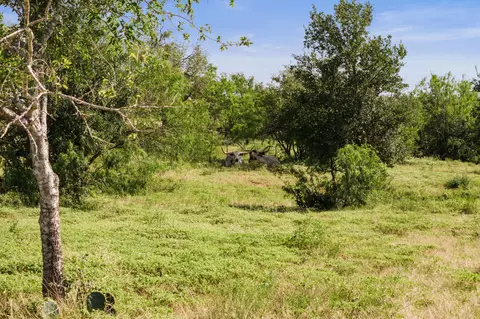 625 Callihan Rd, Luling, TX 78648 photo 13