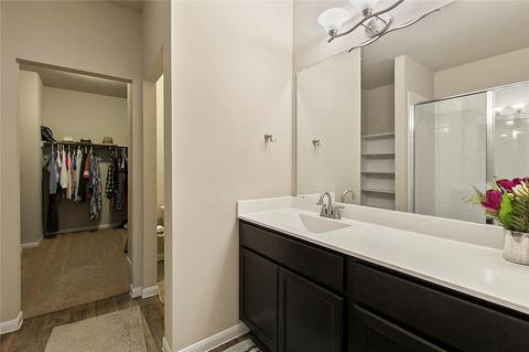 341 Coleto Creek Loop, Kyle, TX 78640 photo 22