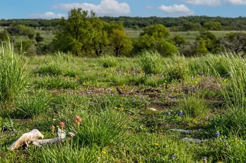 lot20 Gracewood Way, Dripping Springs, TX 78620