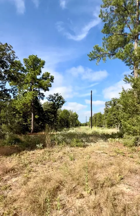 tbd Marlin St, Mcdade, TX 78650 photo 7