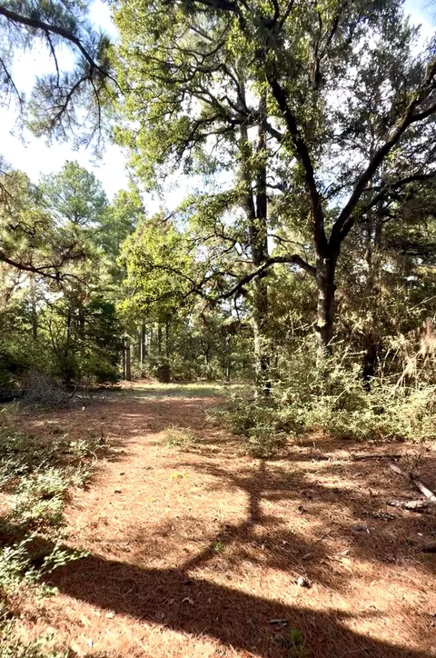 tbd Marlin St, Mcdade, TX 78650 photo 12