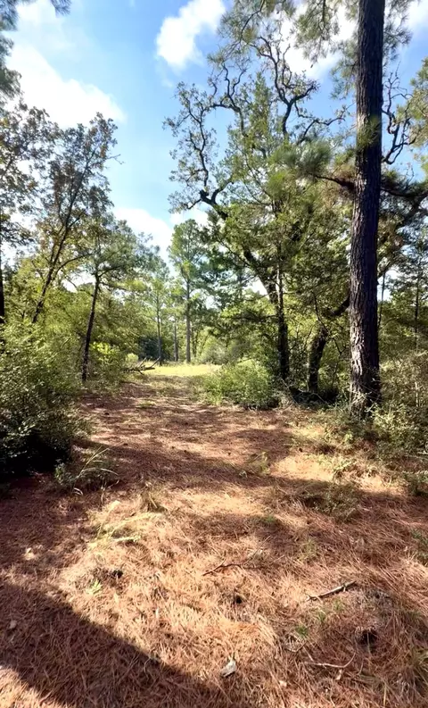 tbd Marlin St, Mcdade, TX 78650 photo 6