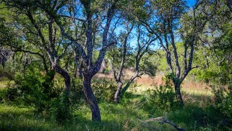 3276 Link Rd, Doss, TX 78618 photo 22