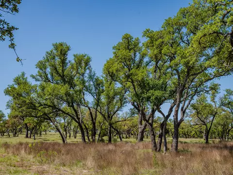 000 Little Creek Rnch, Johnson City, TX 78636