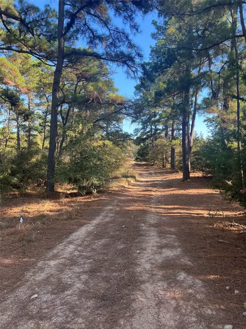 lot43 Pine Lodge Dr, Bastrop, TX 78602