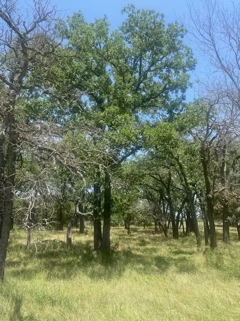 3 Becky Ln, Bertram, TX 78605 photo 3