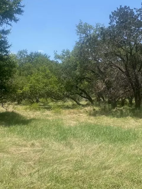 3 Becky Ln, Bertram, TX 78605 photo 2