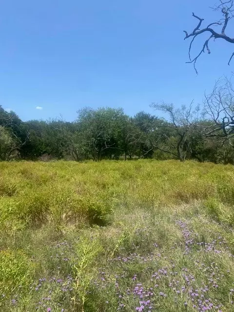 3 Becky Ln, Bertram, TX 78605 photo 10