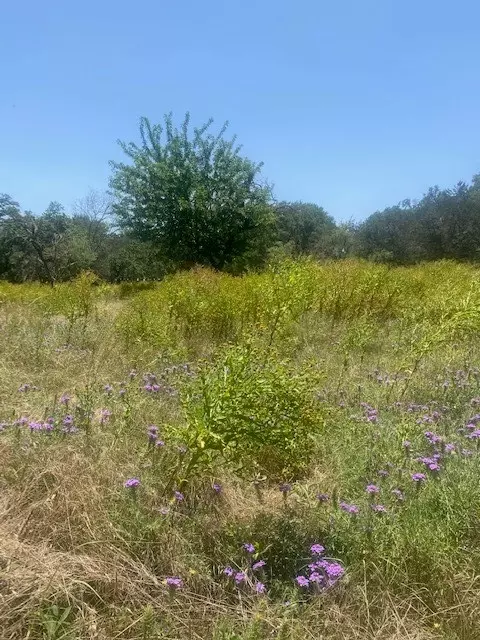 3 Becky Ln, Bertram, TX 78605 photo 9