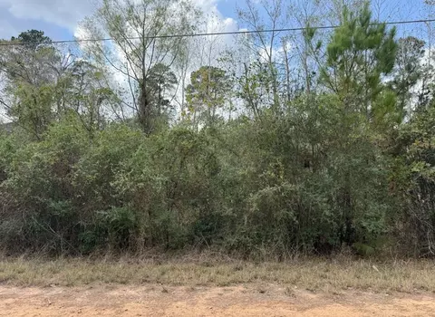 lot233 Makaha Dr, Bastrop, TX 78602