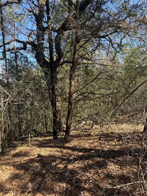 lot321 Keneka Ln, Bastrop, TX 78602