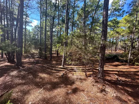 lot11 Hickory Ridge Dr, Bastrop, TX 78602